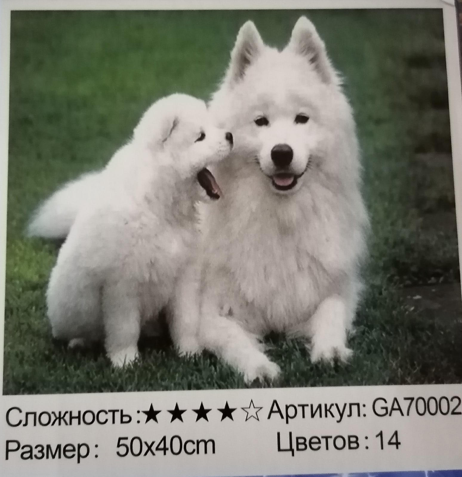 Картина стразами 40*50 Самоеды - фото 1