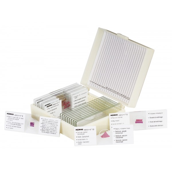 Микропрепараты Человеческое тело - фото 1