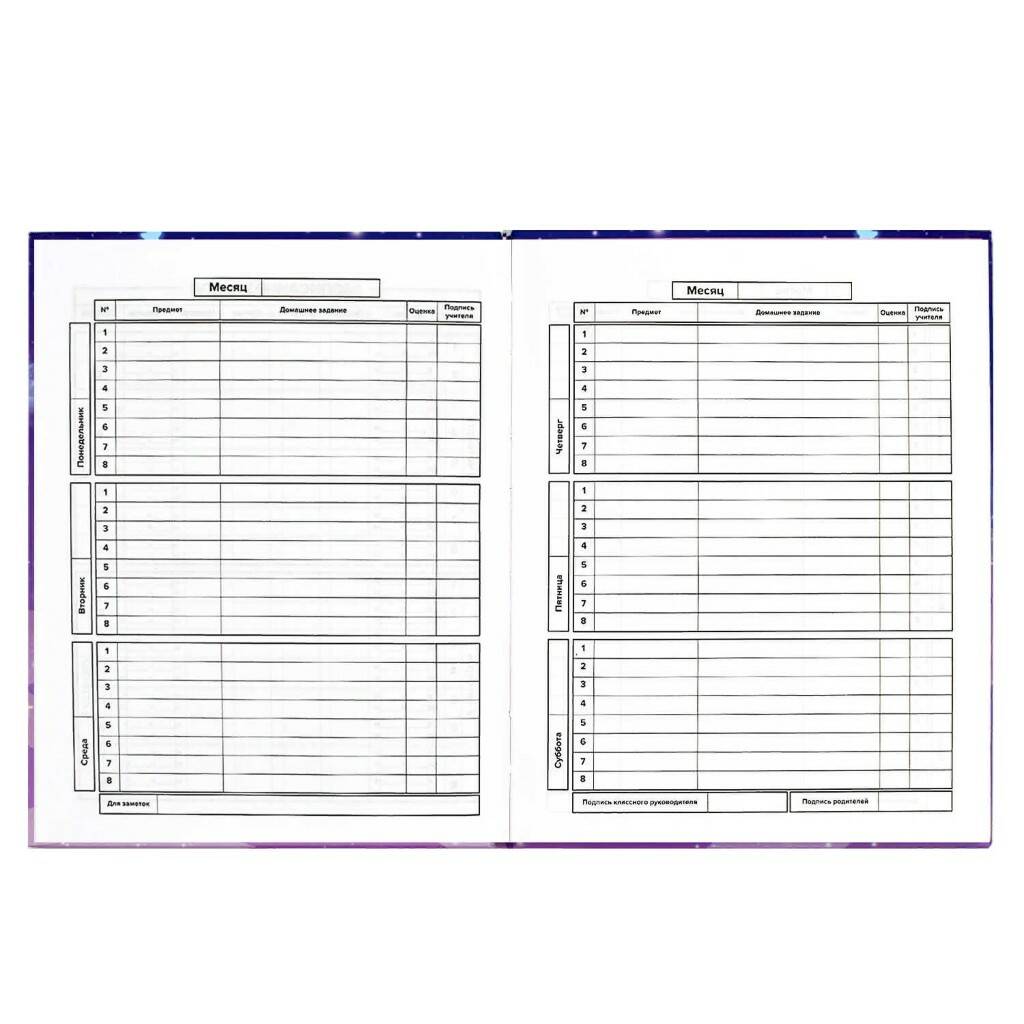 Дневник универсальный ЗВЕЗДНЫЙ ЧАС - миниатюра 3