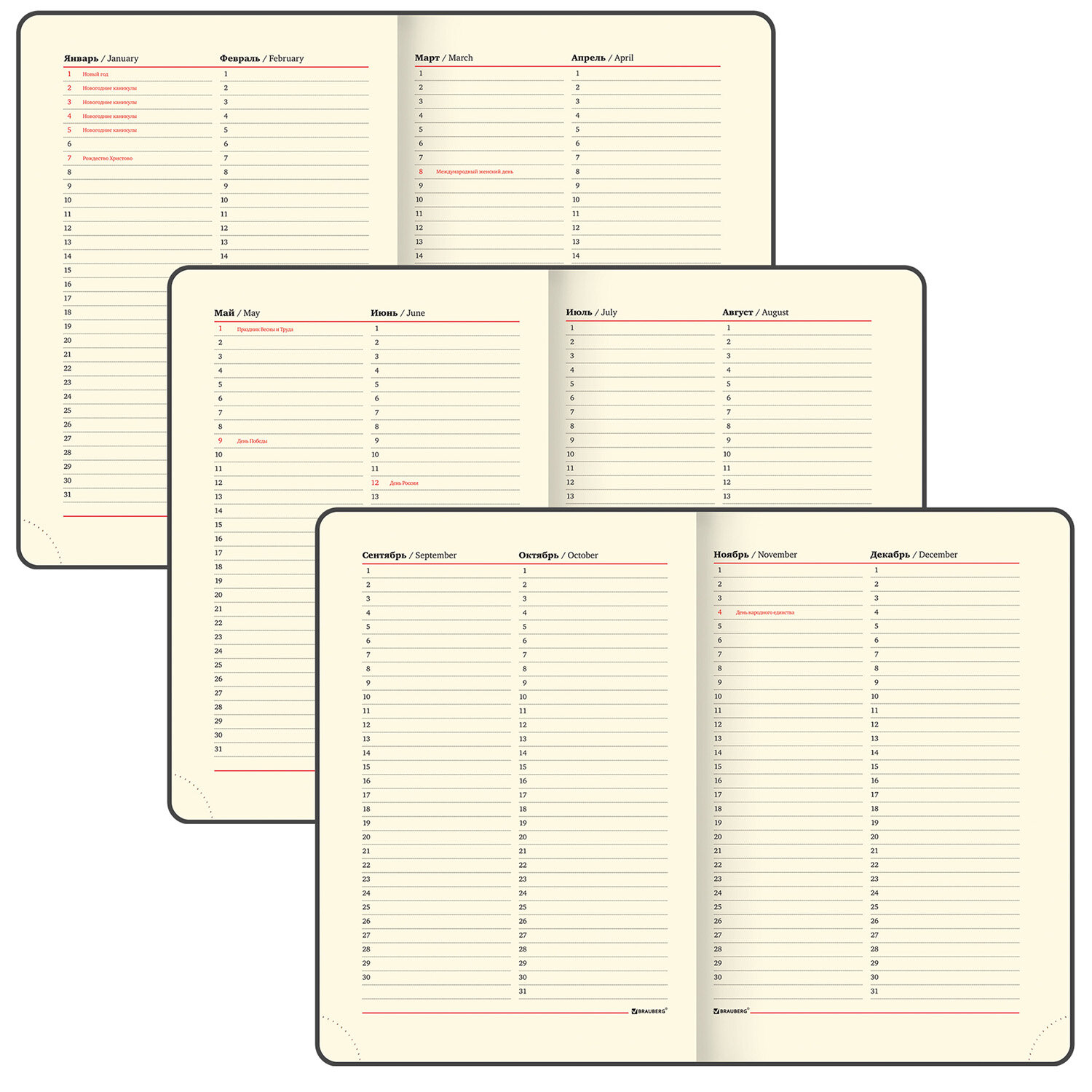 Ежедневник А5 160л. недат. Iguana BRAUBERG - миниатюра 2