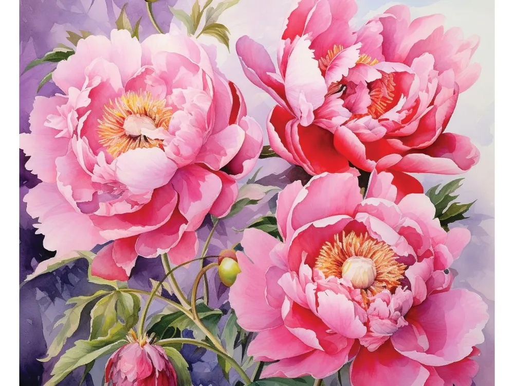 Картина по номерам 40*50 Пионы Сара Бернар - фото 1