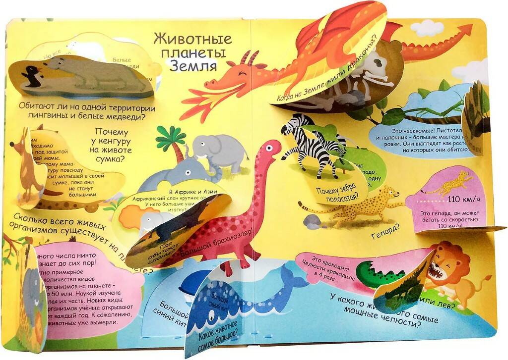 Книга Волшебные окошки Наша планета - миниатюра 2