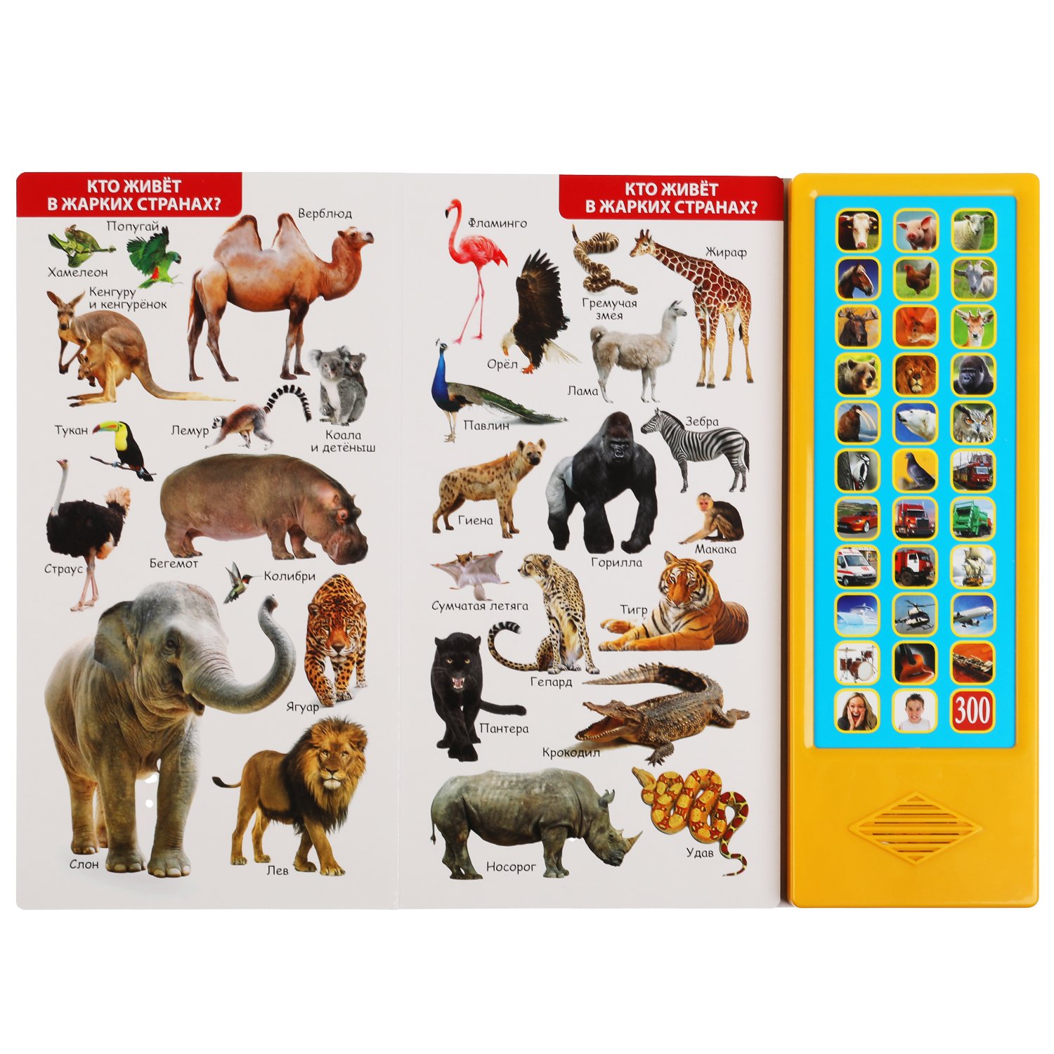 Книга музыкальная 300 голосов и звуков Умка - миниатюра 2