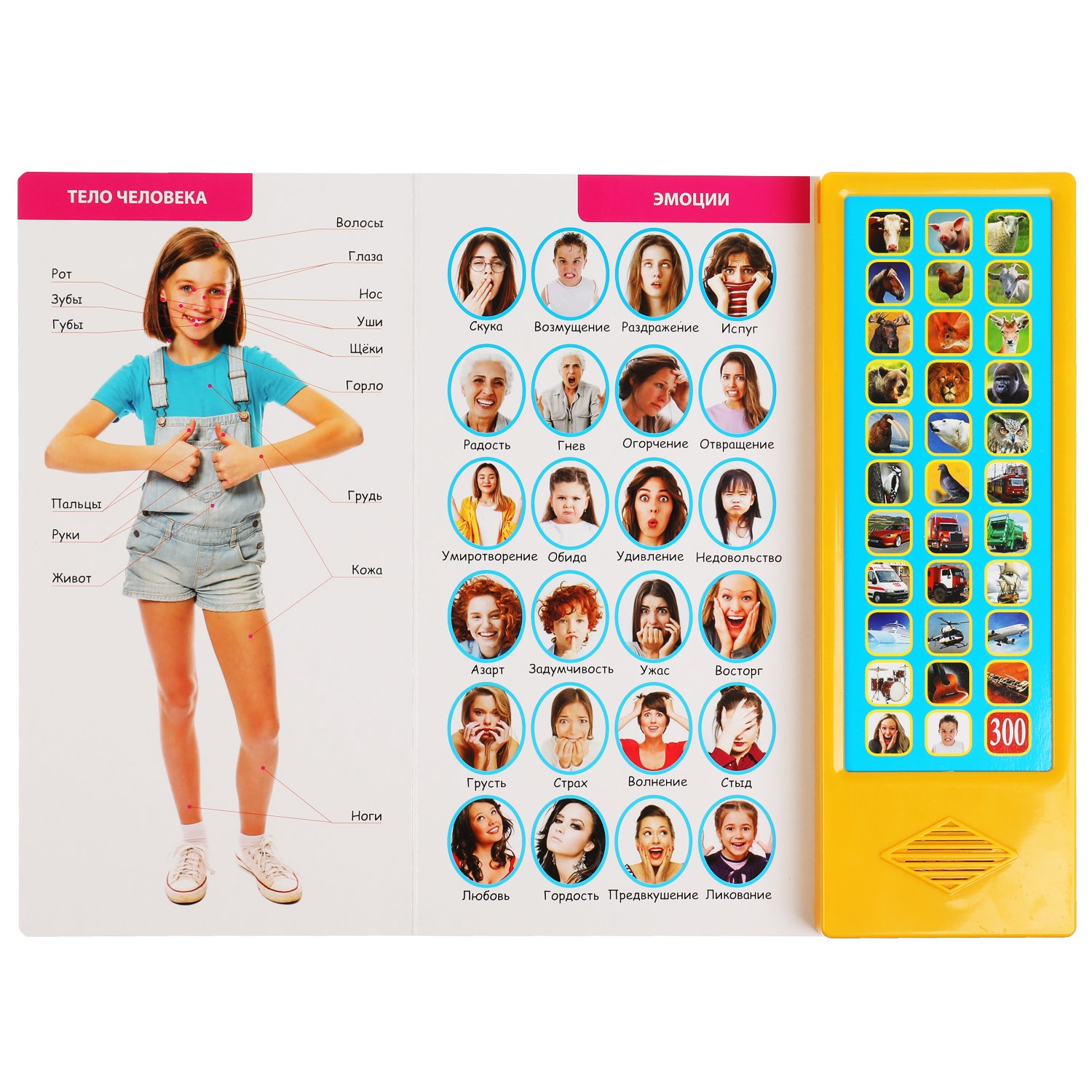 Книга музыкальная 300 голосов и звуков Умка - миниатюра 3