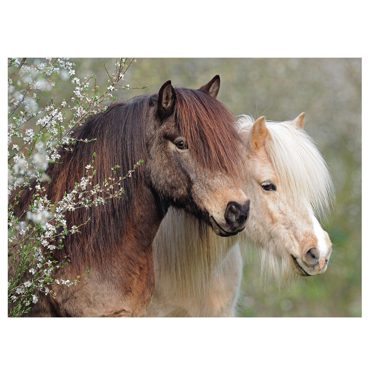 Пазл Прекрасные пони 150дет. Ravensburger - миниатюра 2