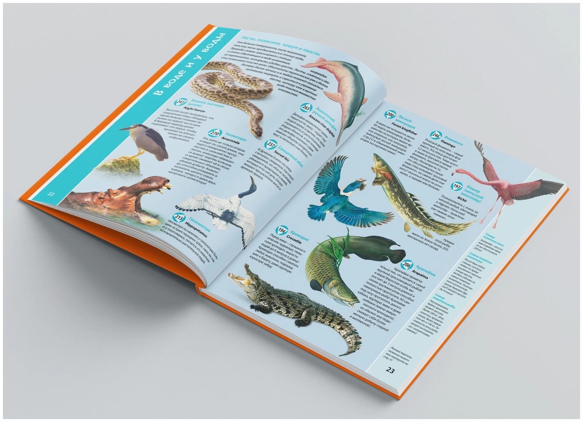 Книга для говорящей ручки Планета животных - миниатюра 3