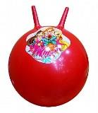 Мяч прыгун WINX 55см - фото 1