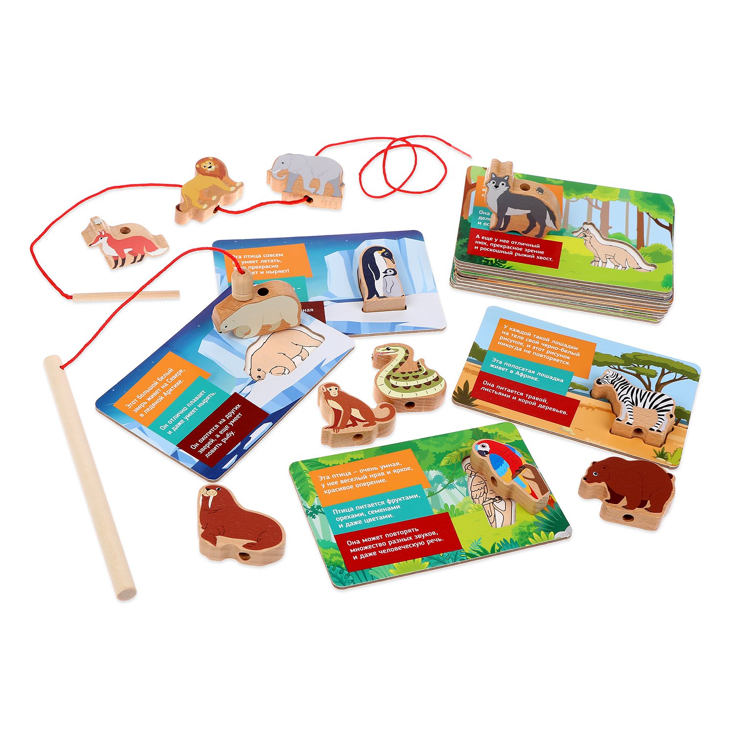 Развивающая игра 4в1: шнуровка, вкладыш, рыбалка, карточки - миниатюра 3