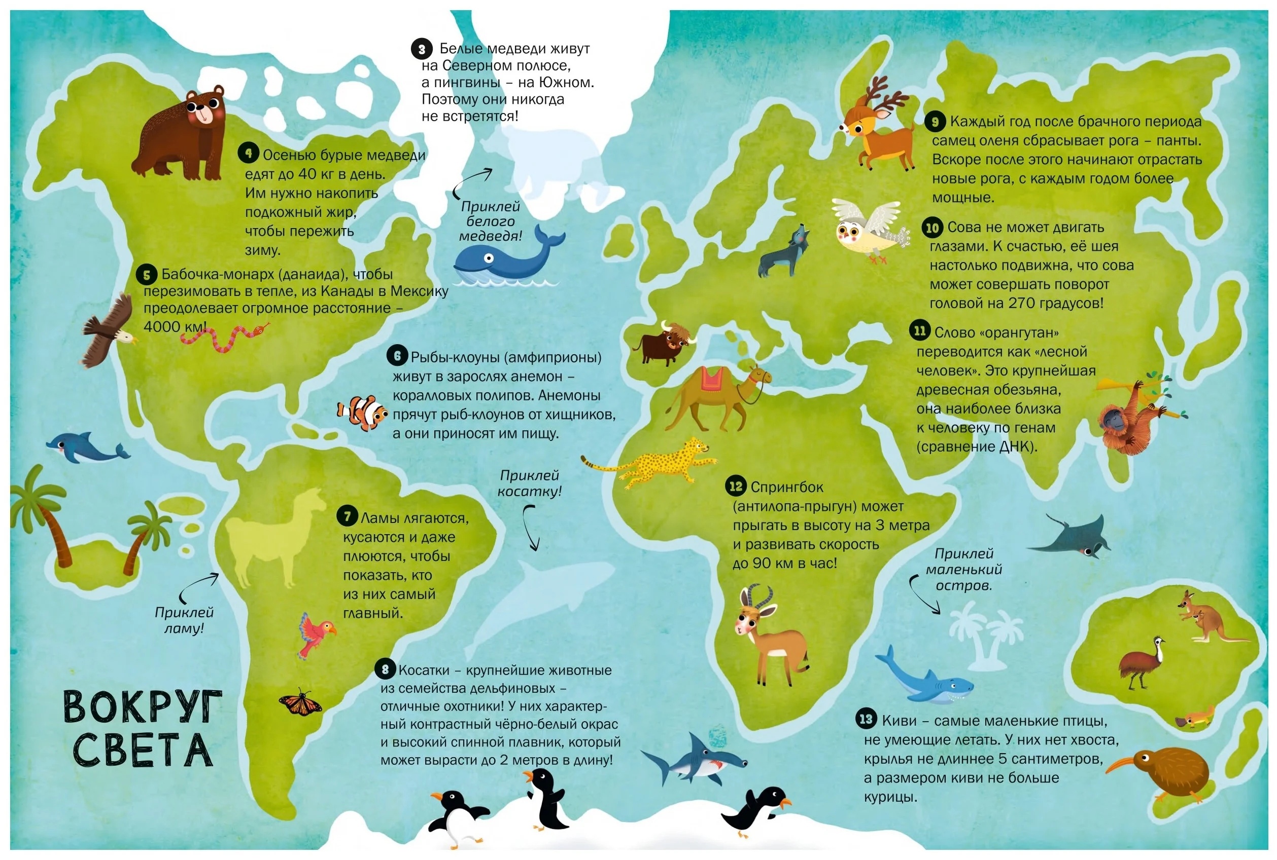 Книга с наклейками 100 интересных фактов о животных - миниатюра 2