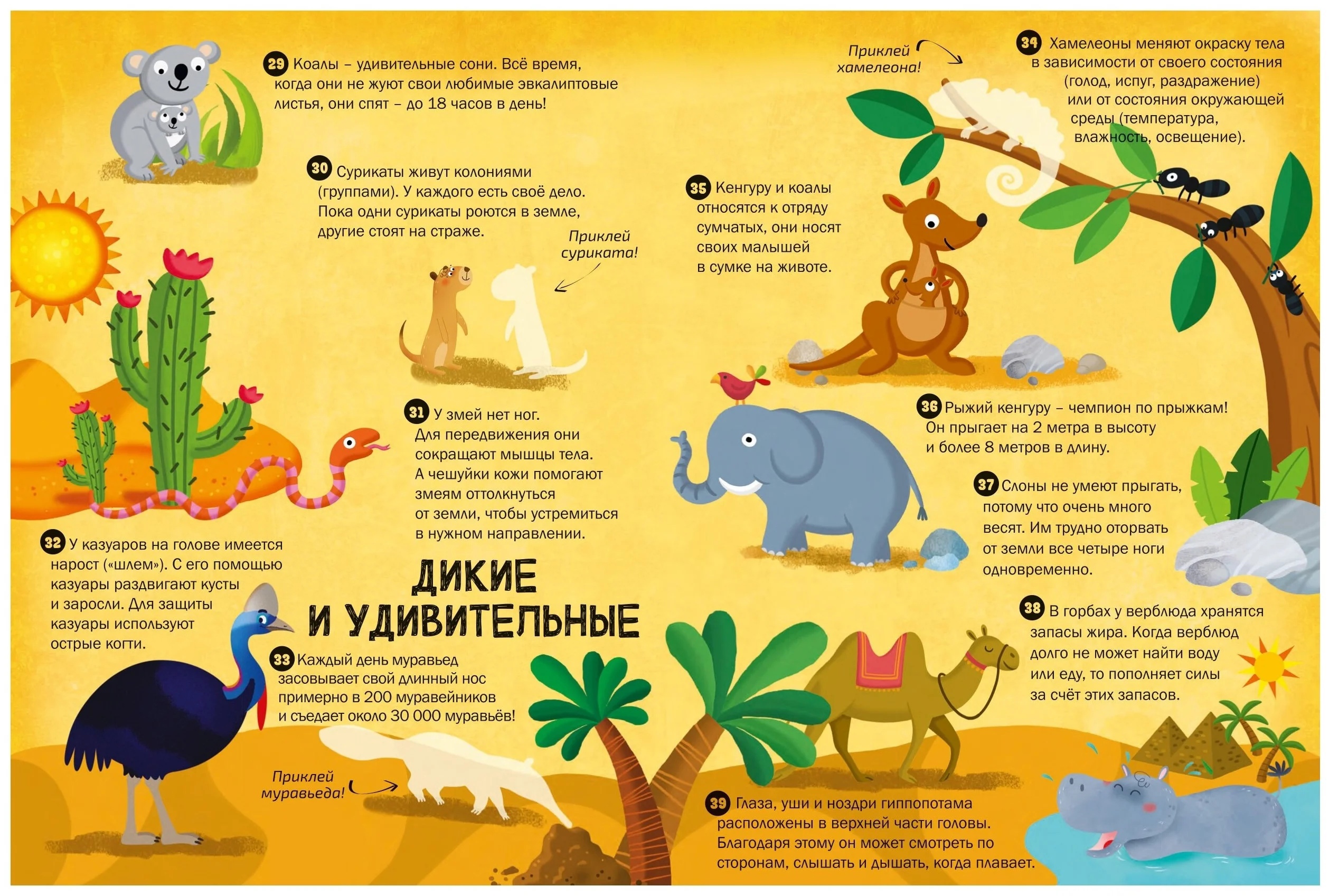 Книга с наклейками 100 интересных фактов о животных - миниатюра 3