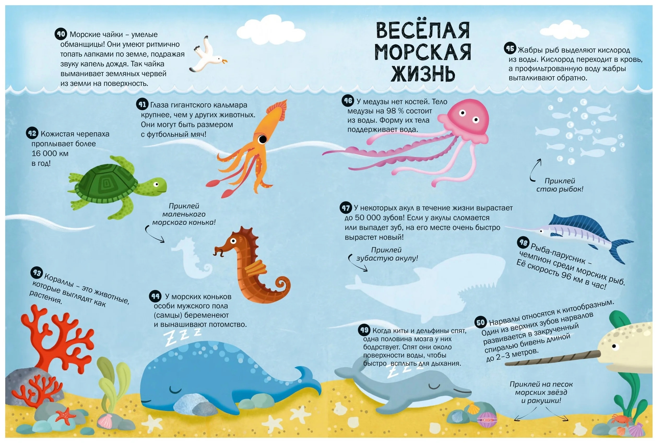 Книга с наклейками 100 интересных фактов о животных - миниатюра 5