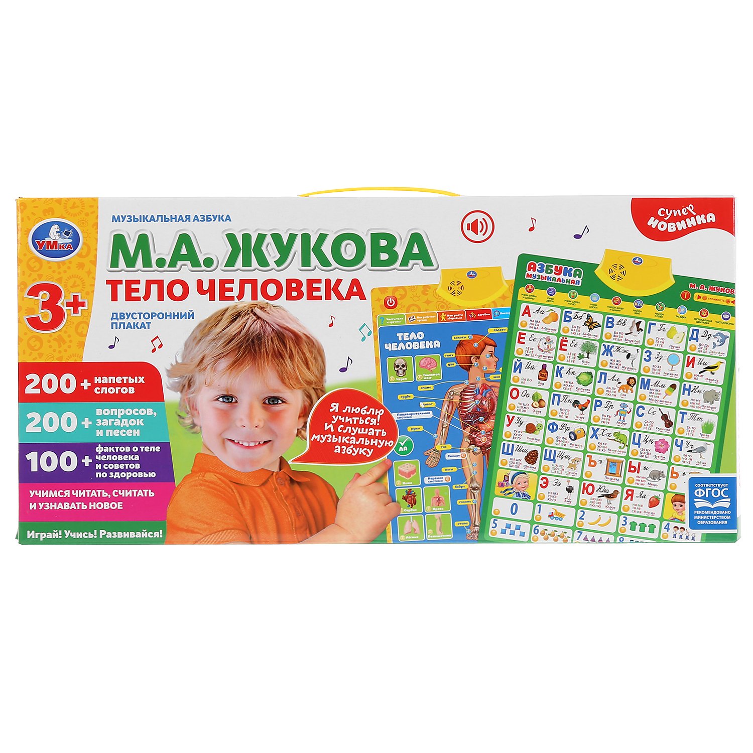 Плакат электронный Тело человека и Азбука М.Жукова 0251-R93 - миниатюра 2