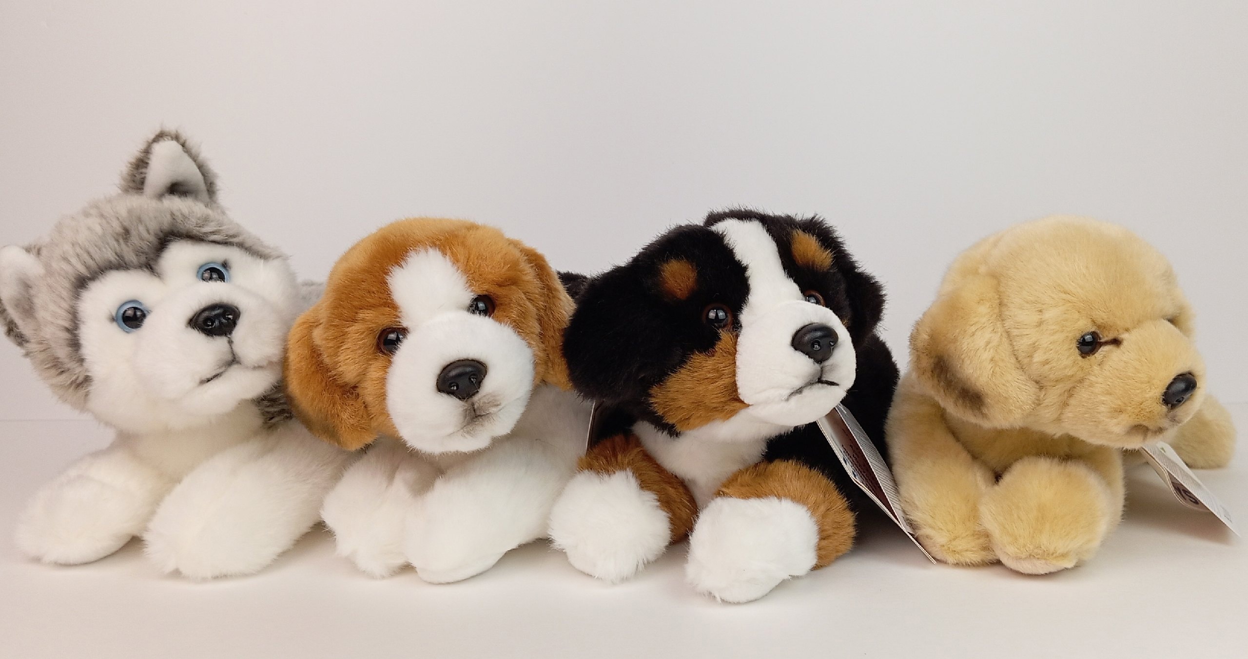 Мягкая игрушка Собака 24см в ассорт. Leosco - фото 1