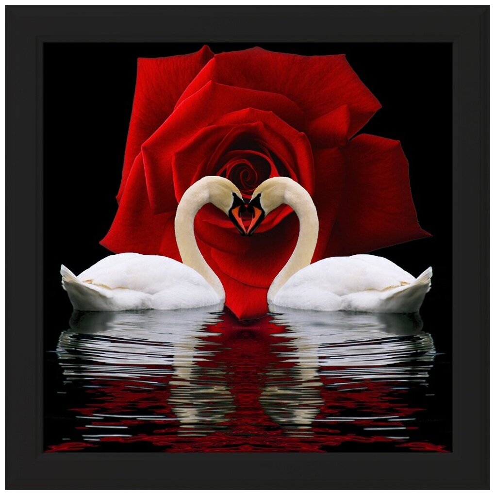 Картина стразами 55*50 Лебединая преданность - фото 1