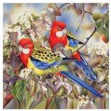 Картина стразами 40*40 Райские птички - фото 1