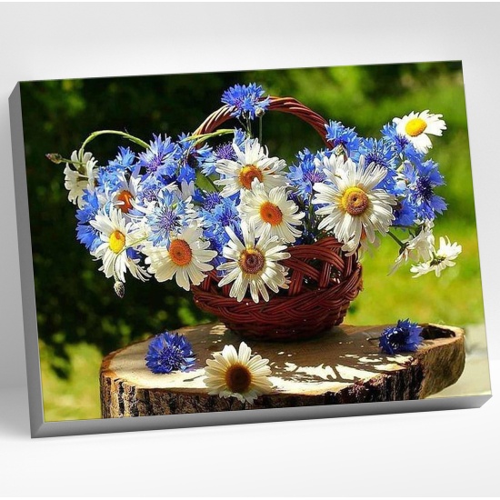 Картина стразами 40*50 Ромашковое лето Molly - фото 1