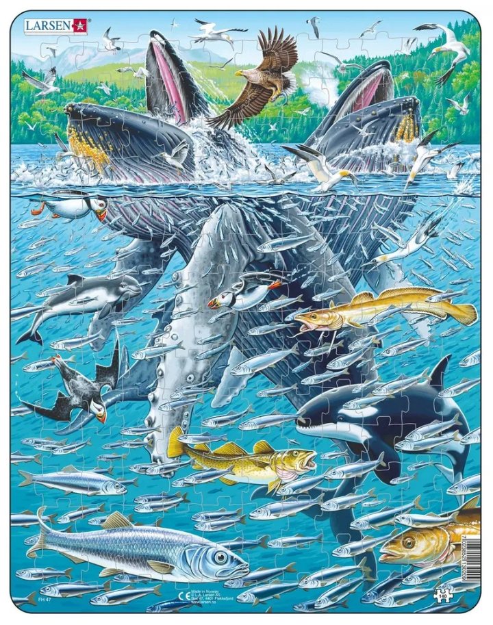 Пазл Горбатые киты в стае сельди 140дет. LARSEN - фото 1