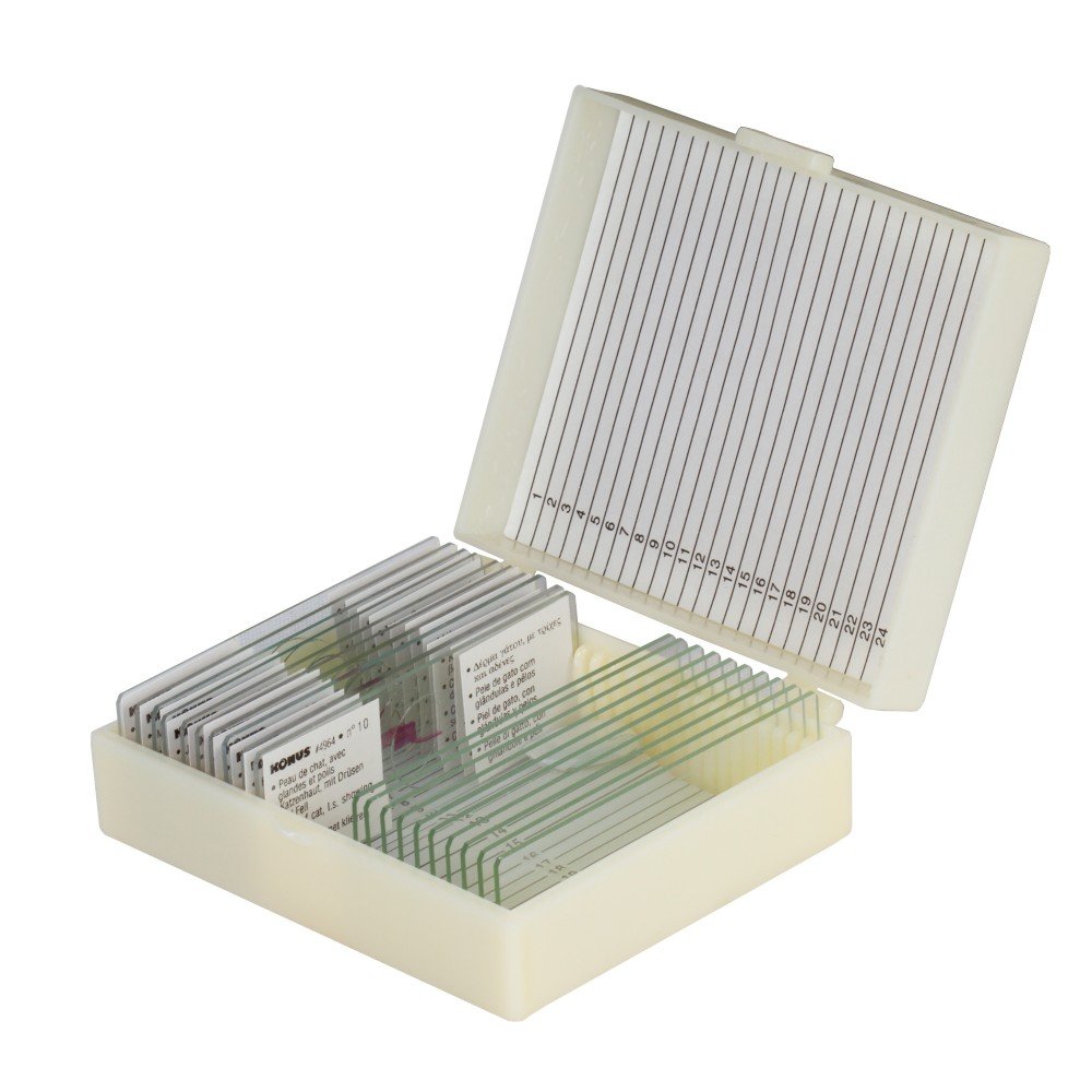 Микропрепараты Биология - фото 1