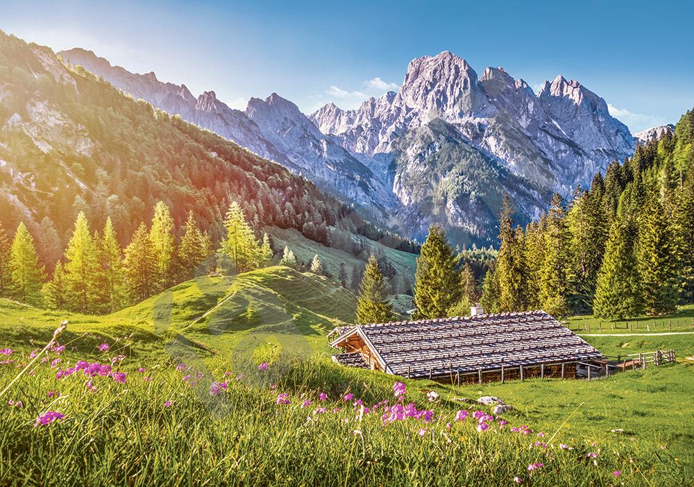 Пазл 500 Лето в Альпах - фото 1