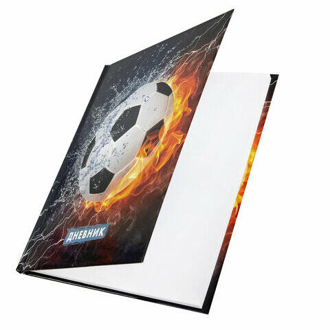 Дневник 1-4 класс Football - миниатюра 2