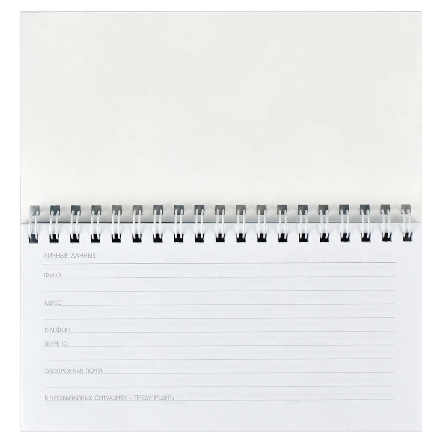 Еженедельник недат. 64л. Твои правила Феникс - миниатюра 2