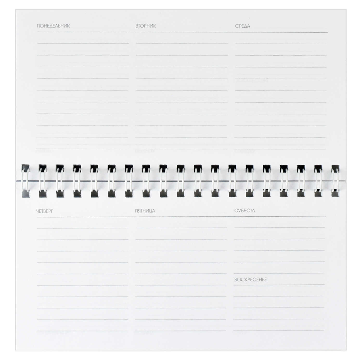 Еженедельник недат. 64л. Твои правила Феникс - миниатюра 3