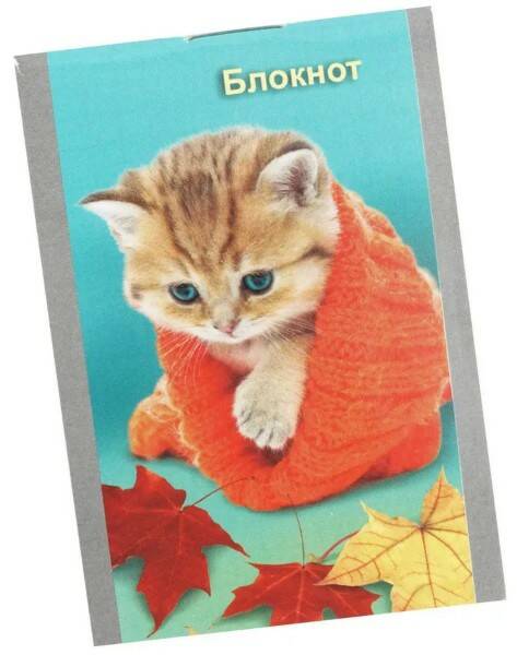 Блокнот А7 32л. кл. Котенок в шарфе - фото 1