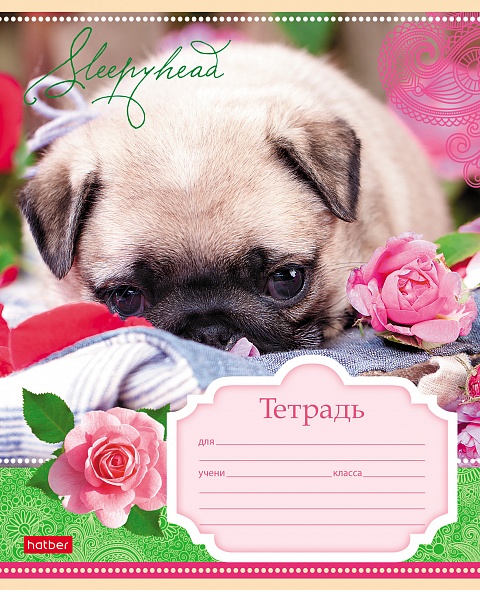 Тетрадь 12л. клетка Сони-Засони - миниатюра 4