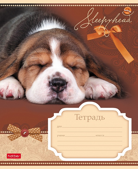 Тетрадь 12л. клетка Сони-Засони - фото 1