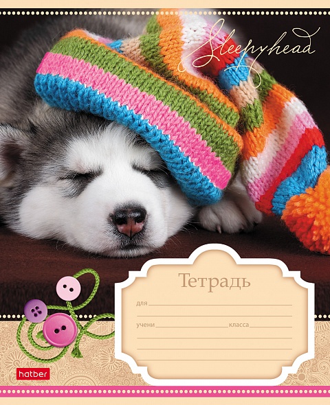 Тетрадь 12л. клетка Сони-Засони - миниатюра 2