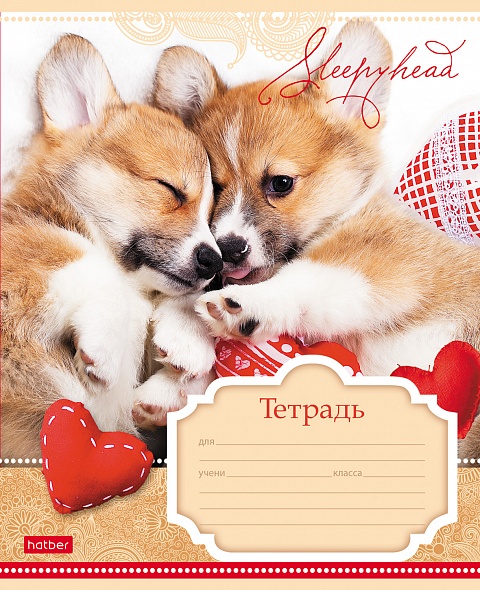 Тетрадь 12л. клетка Сони-Засони - миниатюра 3