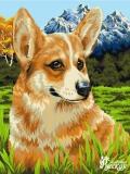  Картина по номерам 40*50 Корги на прогулке - фото 1