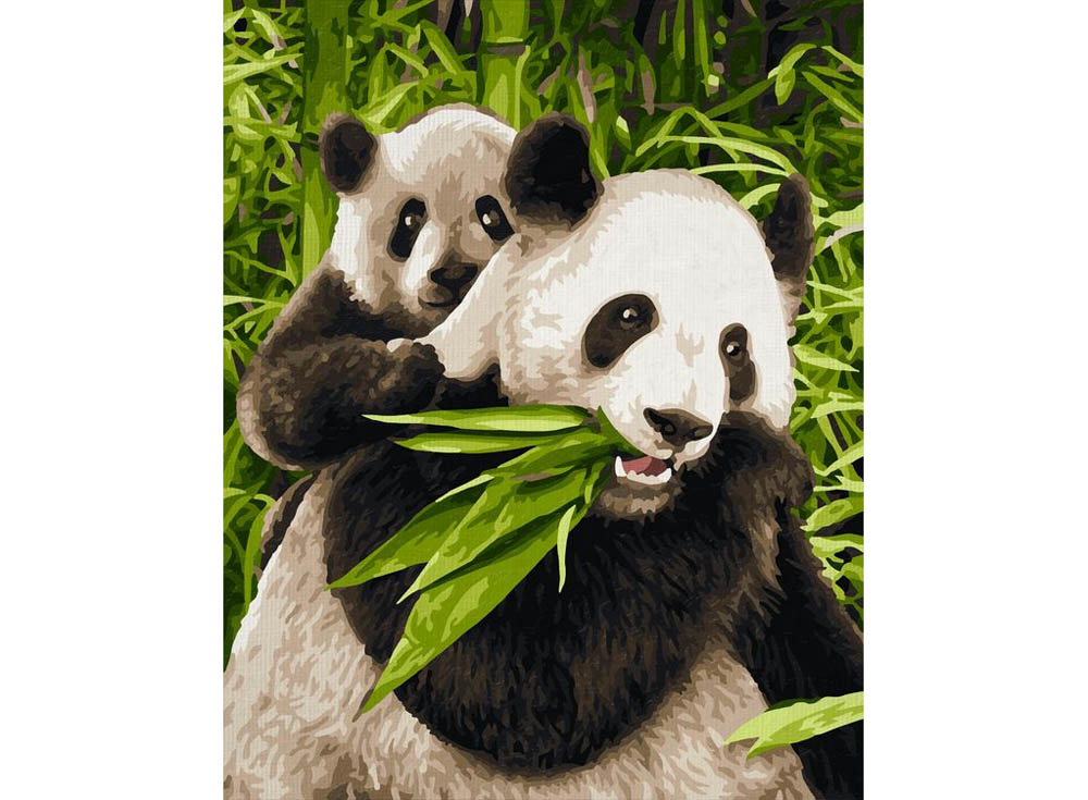 Картина по номерам 30*40 Панды - фото 1