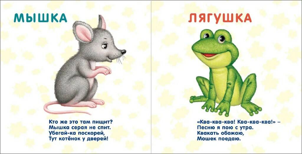Книга - картонки Фрукты и овощи - миниатюра 3