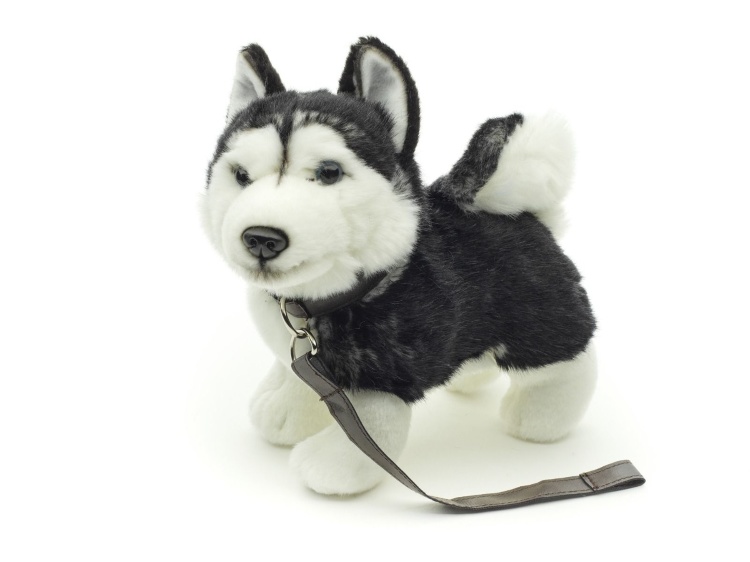 Мягкая игрушка Хаски 22см Leosco - фото 1