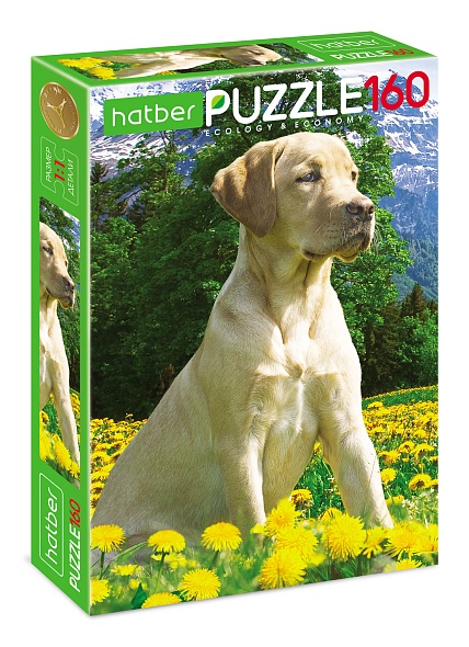 Пазл 160 Лабрадор Hatber - фото 1