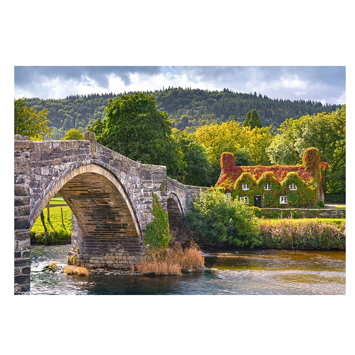 Пазл 1000 Местечко в Уэльсе - миниатюра 2