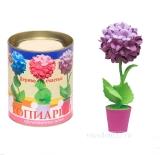 Топиарий Гортензия фиолет. - фото 1