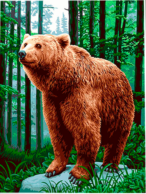 Картина по номерам 40*50 Бурый мишка - фото 1