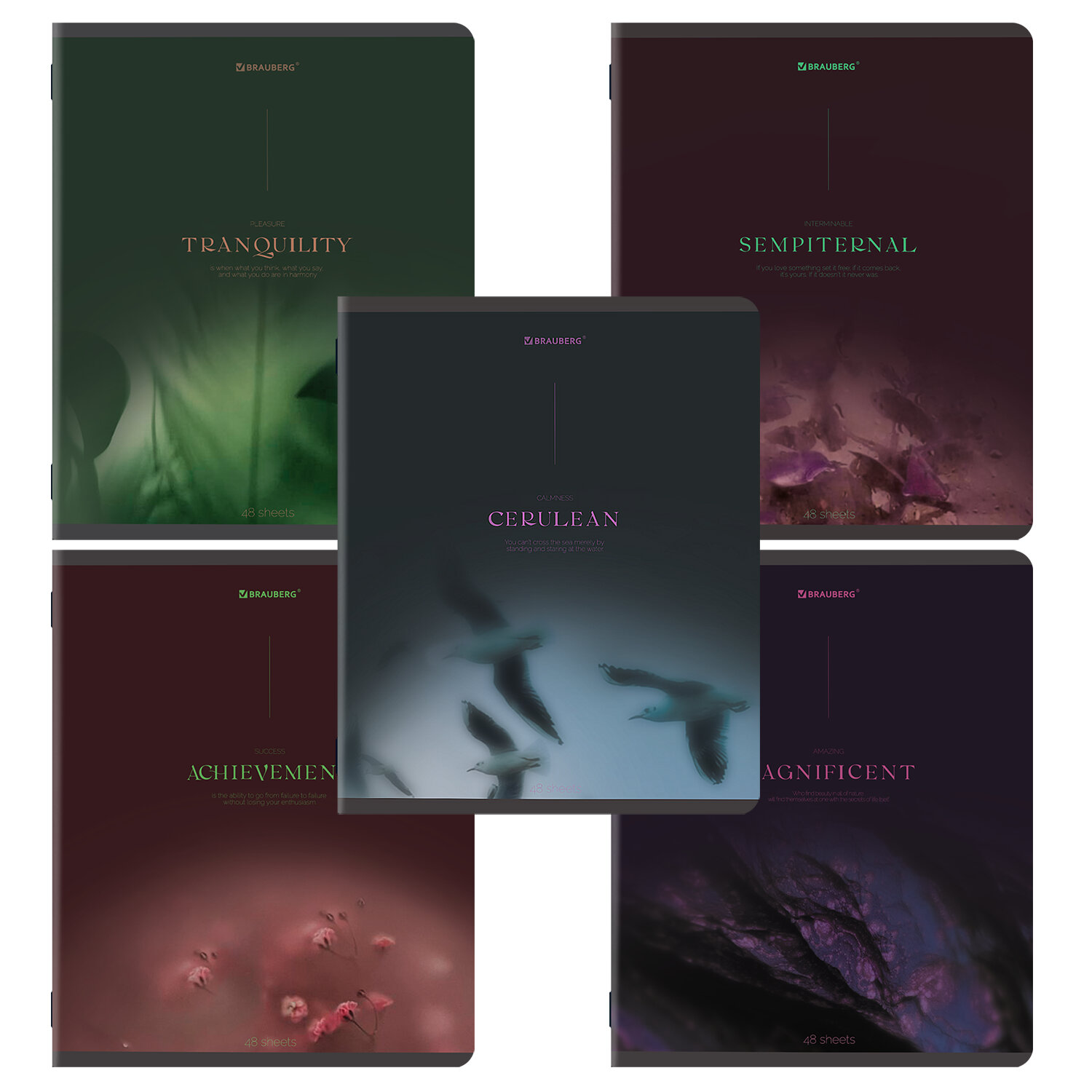 Тетрадь 48л. клетка Peaceful BRAUBERG - фото 1