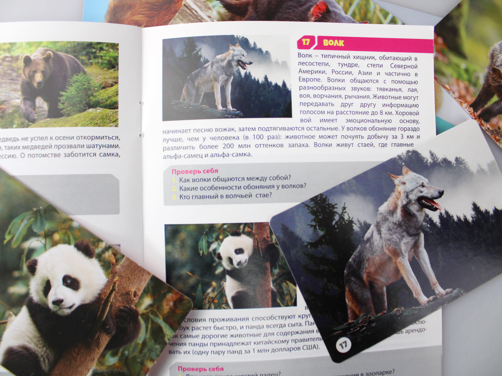 Настольная игра Мемо Мир животных ДК - миниатюра 2