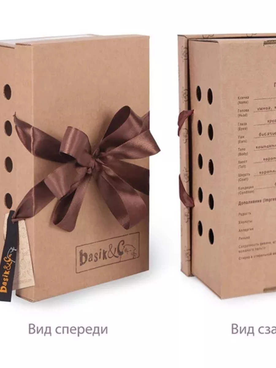 Мягкая игрушка Басик в спортивной курточке и штанах - фото 1