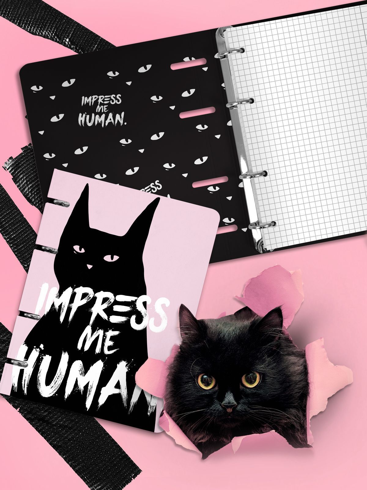 Тетрадь 120л. клетка со сменным блоком WAYWARD CAT - фото 1