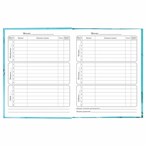 Дневник 1-4 класс Милые Коалы BRAUBERG - миниатюра 4