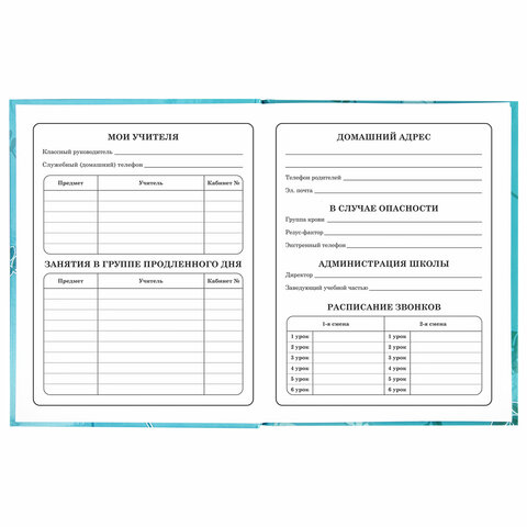 Дневник 1-4 класс Милые Коалы BRAUBERG - миниатюра 2