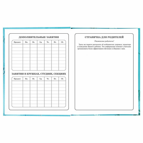 Дневник 1-4 класс Милые Коалы BRAUBERG - миниатюра 3