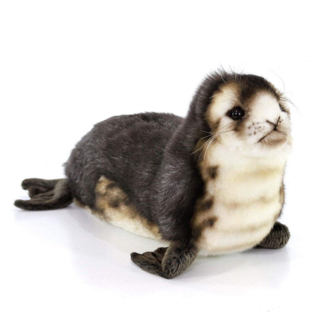 Мягкая игрушка Hansa Детеныш тюленя - монаха 30см. - фото 1