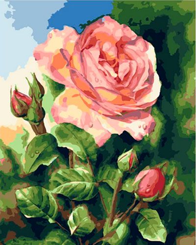 Картина по номерам 40*50 Розы в саду - фото 1