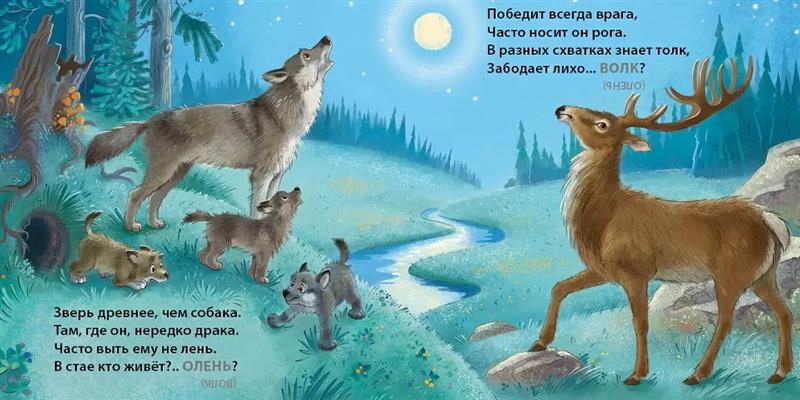 Книга - картонки Дикие животные. Загадки - обманки Робинс - миниатюра 3