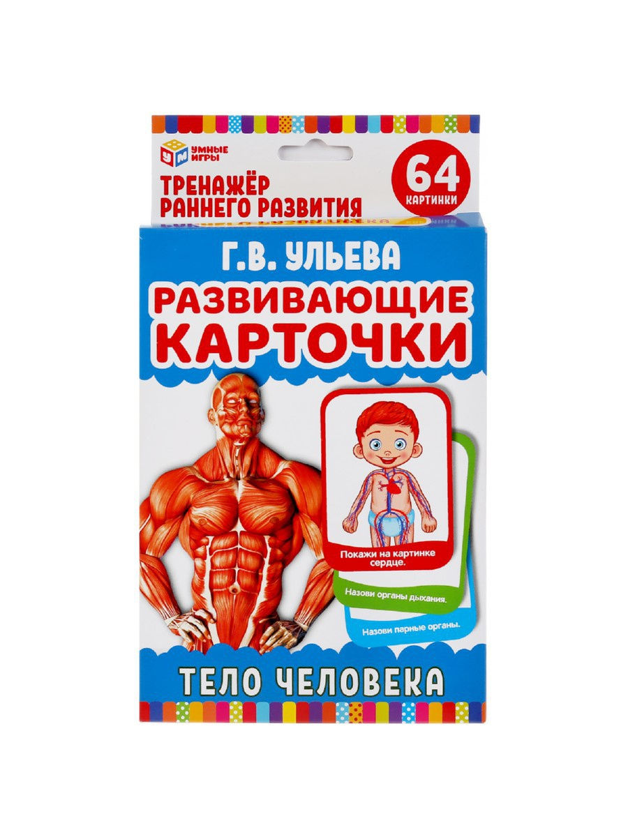 Развивающие карточки Тело человека - фото 1